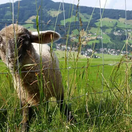 Obergaisberg 2* Kirchberg in Tirol