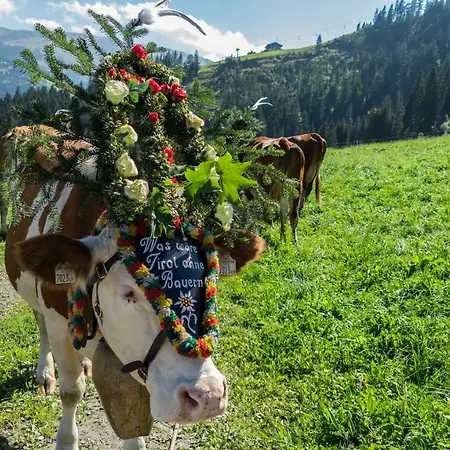 Obergaisberg Kirchberg in Tirol