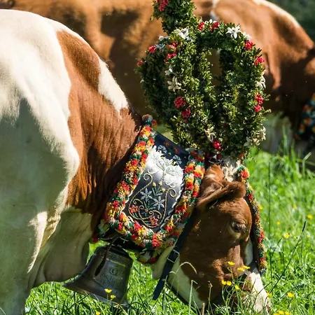 Obergaisberg Penzion Kirchberg in Tirol